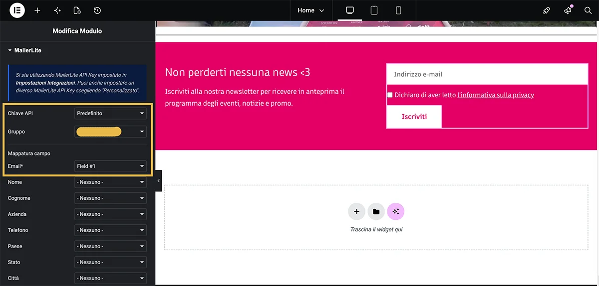 Mailerlite Elementor - Configurare il modulo Form