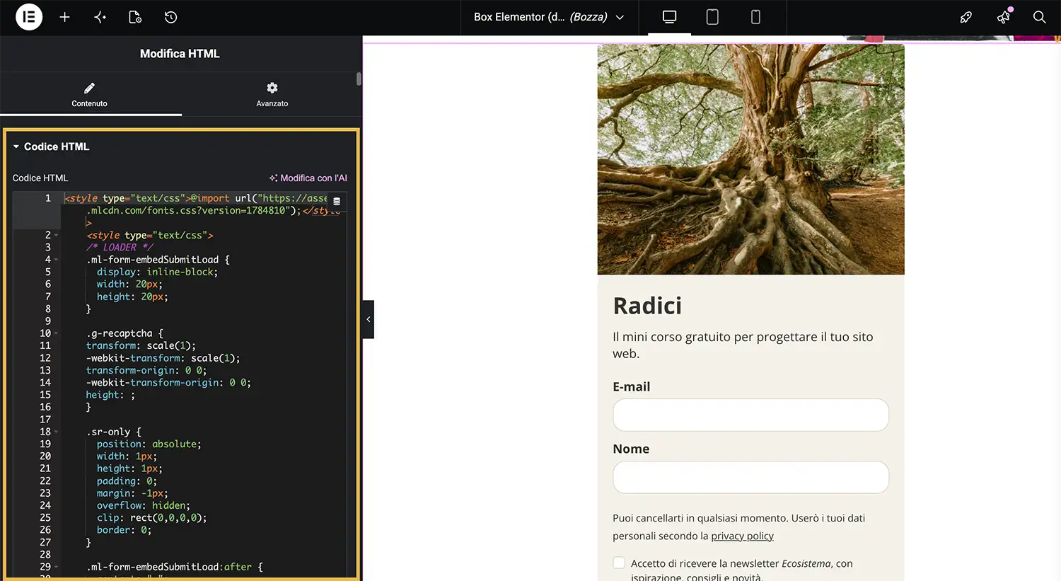 Mailerlite Wordpress - Incollare il codice del form di iscrizione